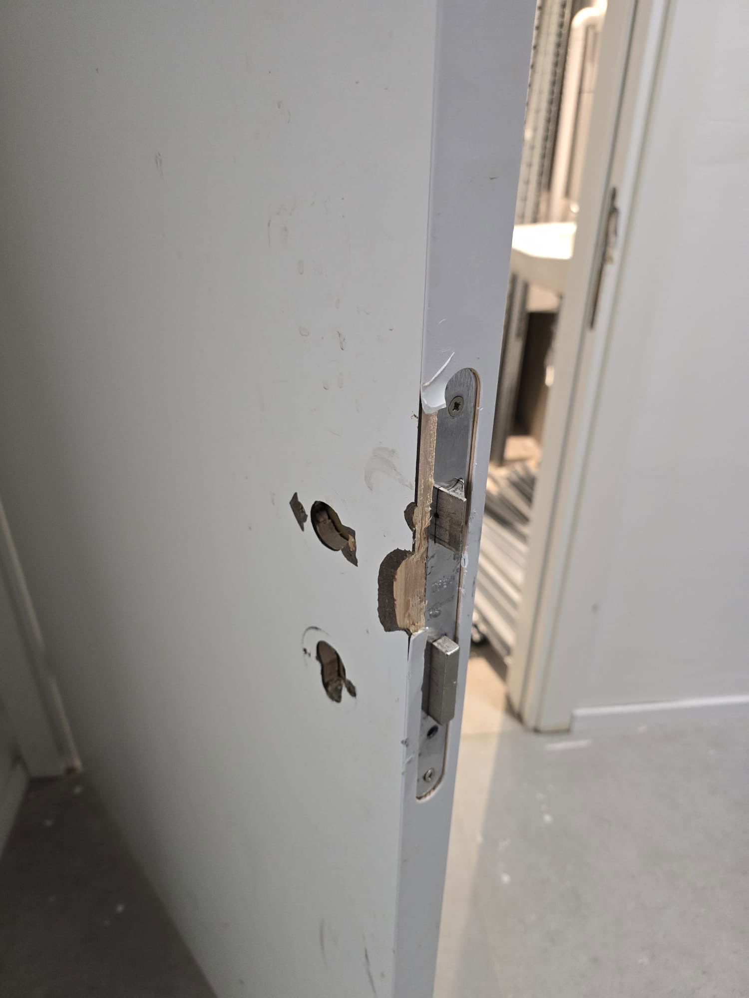 תיקון דלתות