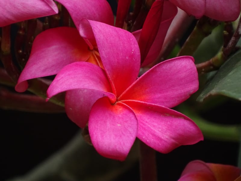 60-Minute Massage: A Full-Body Rejuvenation