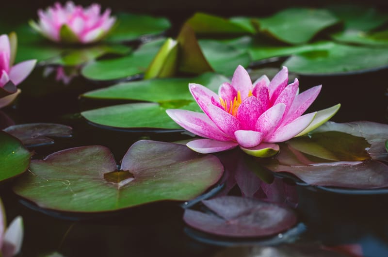 2 Hour Massage: The Ultimate Full-Body Healing & Relaxation Experience