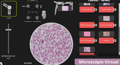 Microscópio Virtual