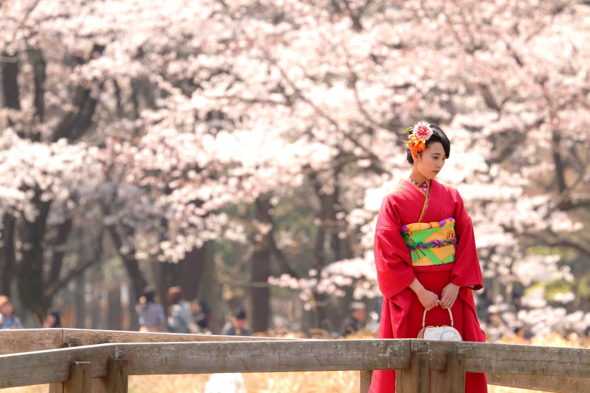🌸春限定｜桜ロケーション撮影受付中🌸