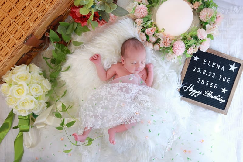 籐かごを利用したイメージ