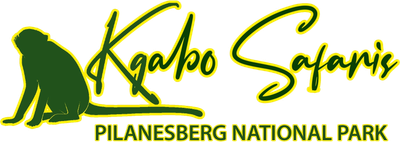 Kgabo Safaris