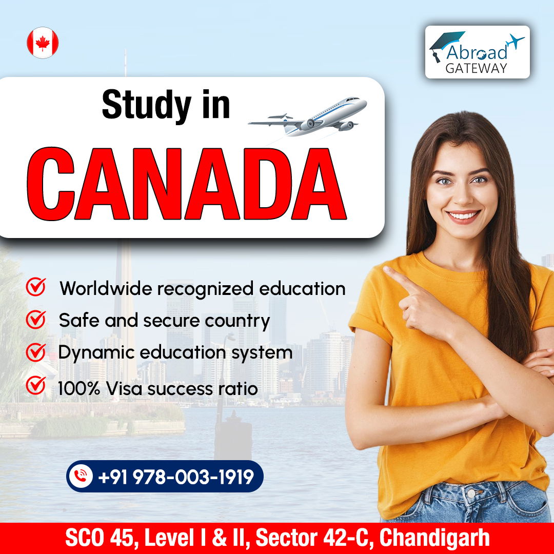 What to Look for in a Canada Study Visa Consultant in Chandigarh