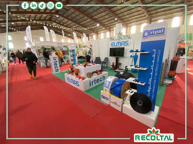 Agro Expo 2024 -EL MENIA-