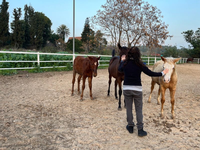 סדנאות קבוצתיות לשיפור מיומנויות חברתיות ותקשורת בין אישית