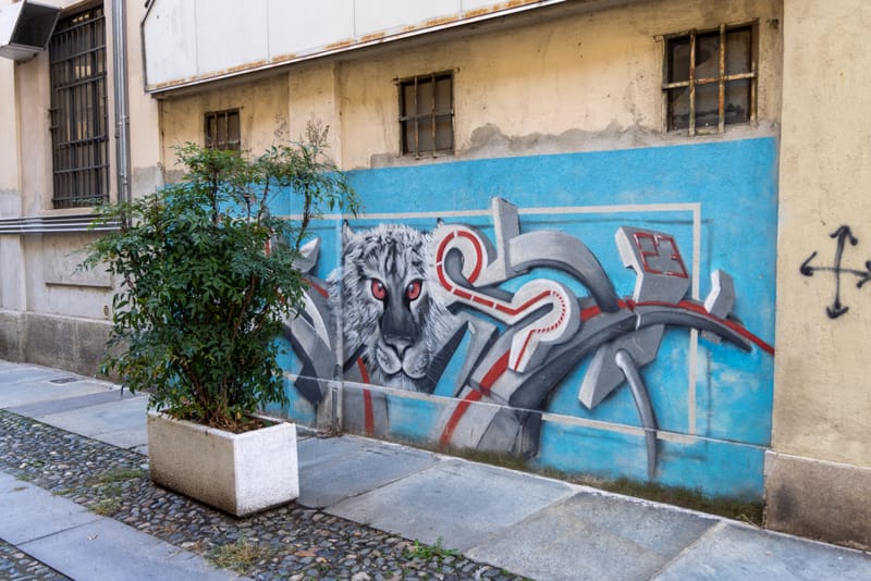 Street Art in Turin