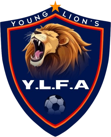 YOUNG LIONS FOOTBALL ACADEMY