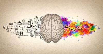 Sensory Equipment Across Dementia Stages, Evidence, Outcomes, and Best Practice