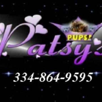 https://www.patsyspups.net