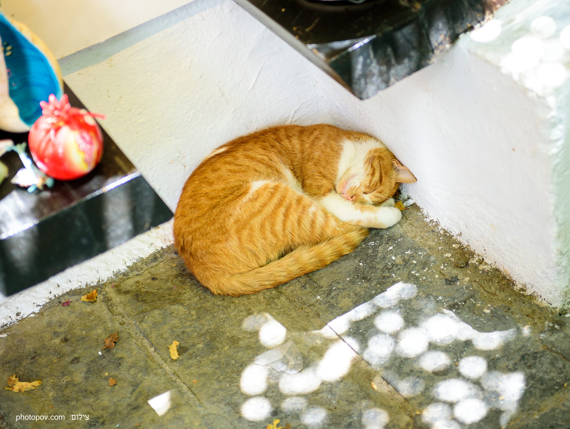 צילום רחוב - למכירה