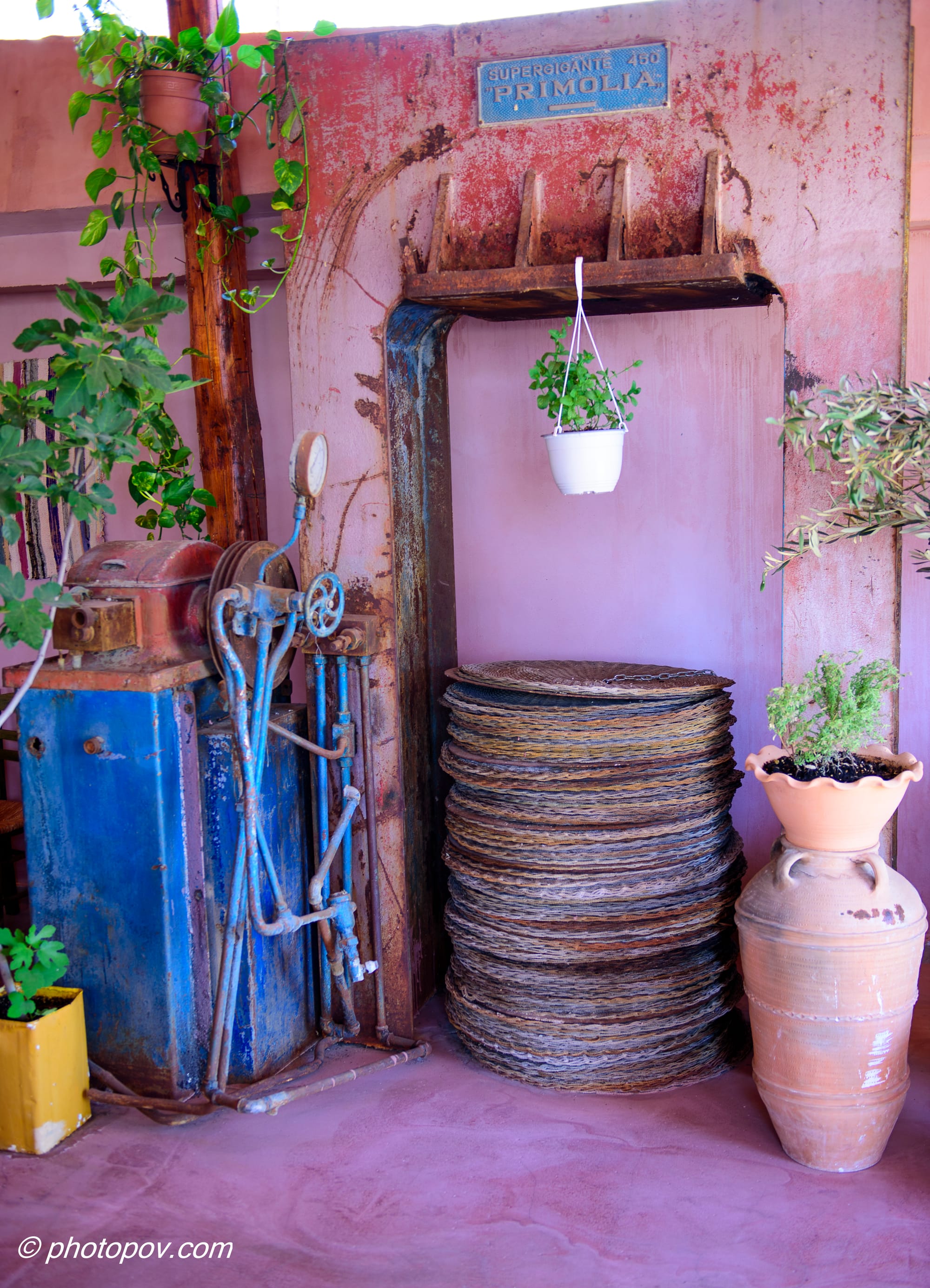 צילום רחוב - למכירה