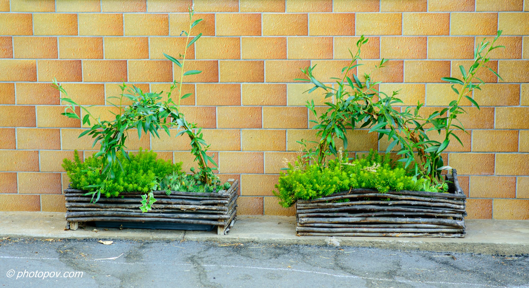 צילום רחוב - למכירה