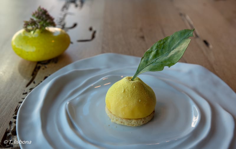 צילומי מזון ואוכל.