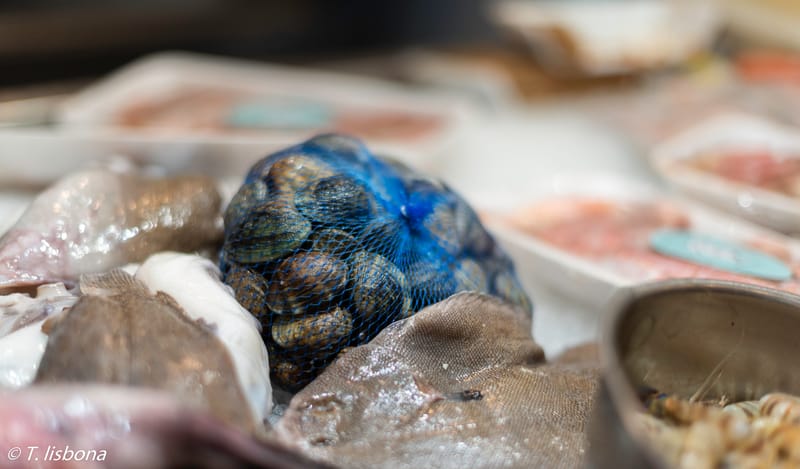 צילומי מזון ואוכל.