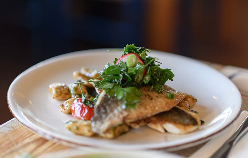 צילומי מזון ואוכל.