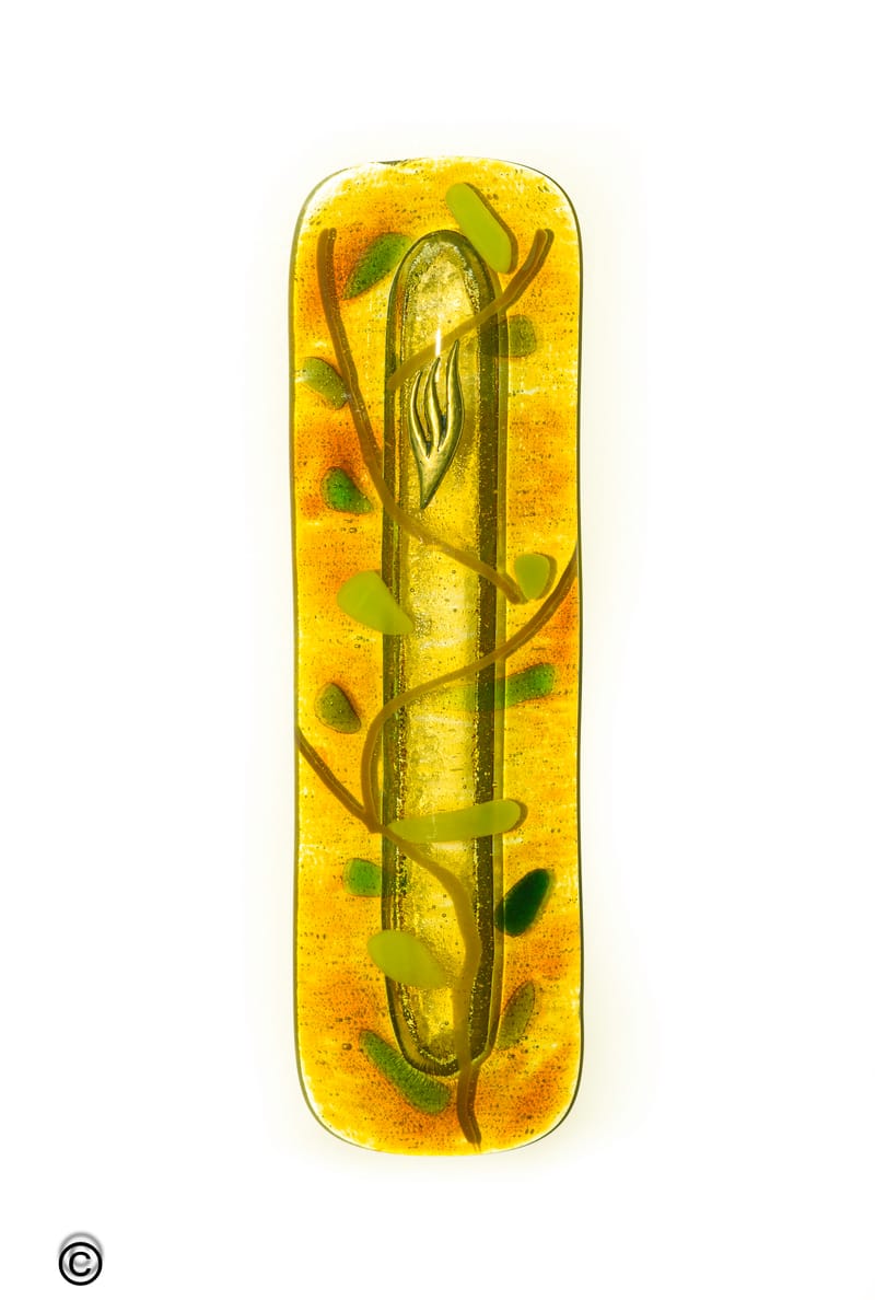 צילום מוצר וחנות לתדמית, אתרי מכירה ואתר עסקי