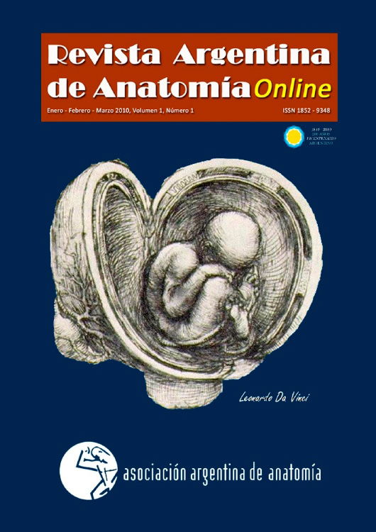 Irrigación de Músculo Recto Anterior del Abdomen: Consideraciones Anatómicas para el Colgajo Miocutáneo Transverso (TRAM)