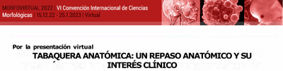 Tabaquera Anatómica: Un Repaso Anatómico y su Interés Clínico