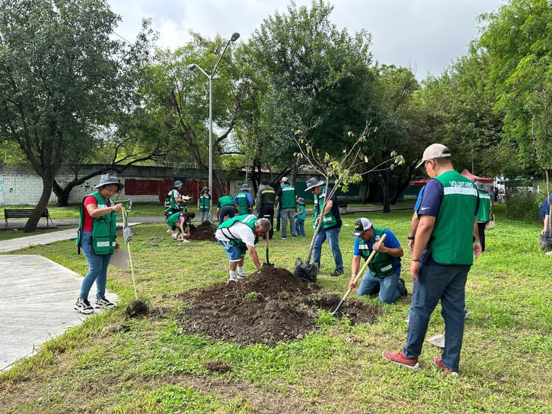 Bio Nodo participa en la Reforestación 2024 junto a BYDSA en Guadalupe, Nuevo León