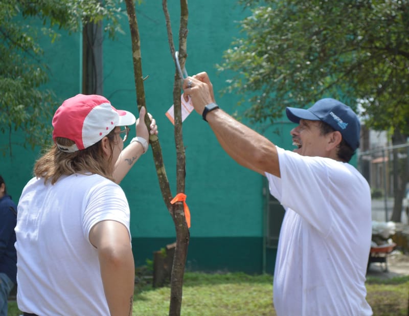 Bio Nodo participa en “Raíces Naranjas”: arborización urbana con impacto educativo y ambiental, iniciativa de Banregio