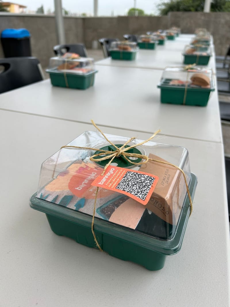 Bio Nodo y Banregio promueven la sostenibilidad urbana con el taller “Huertos Urbanos en Casa”