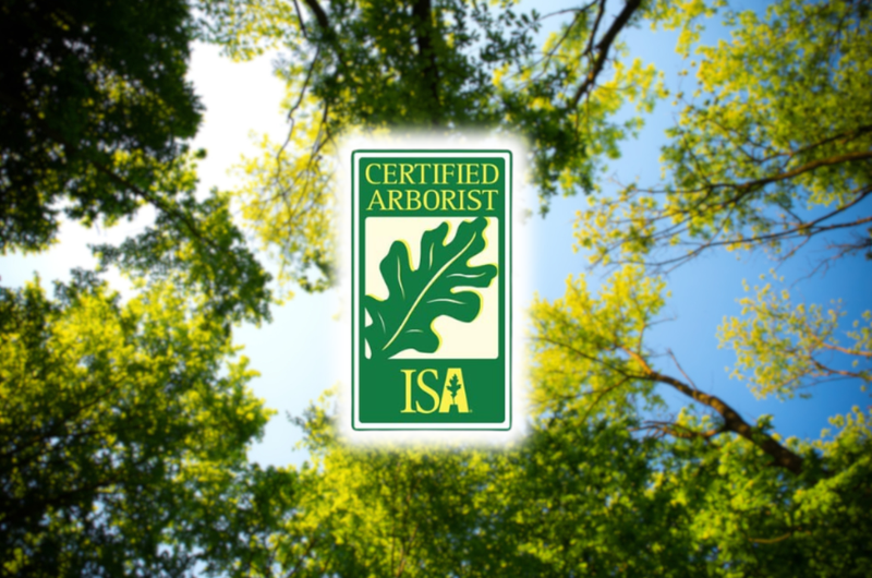 Bio Nodo refuerza su capacidad técnica con certificación internacional en arboricultura