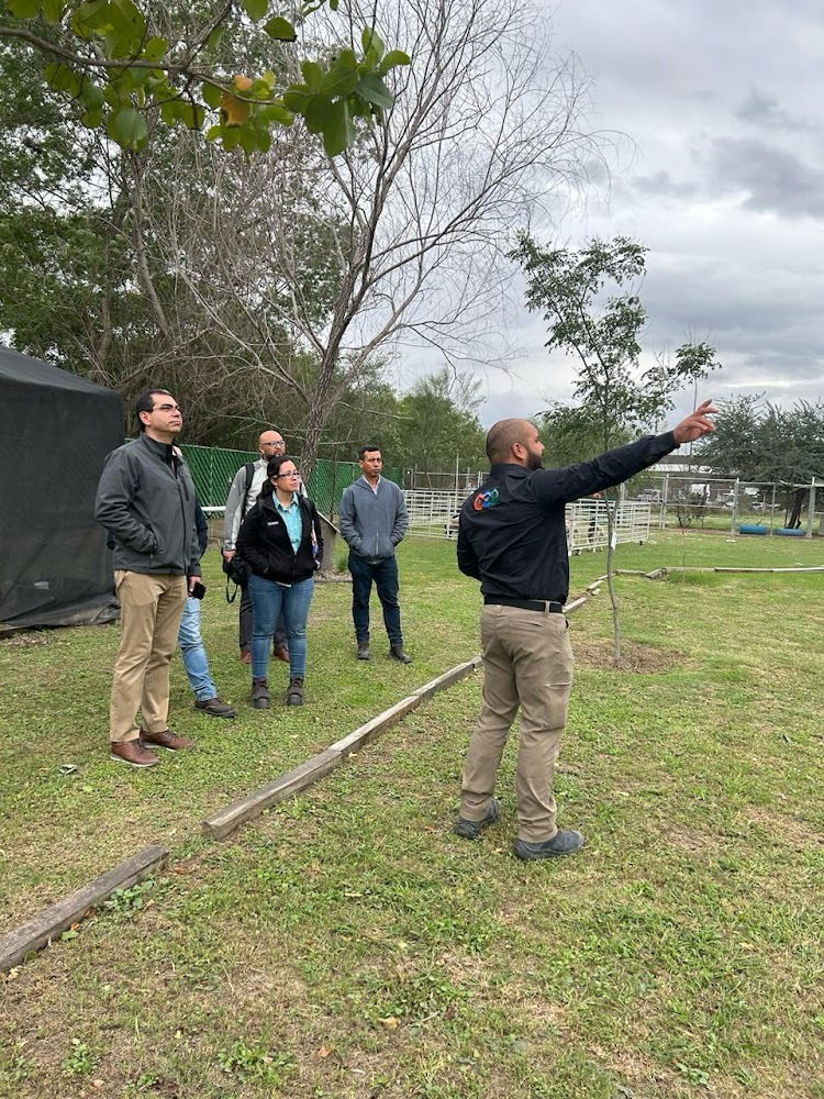 Estudios de contaminación atmosférica