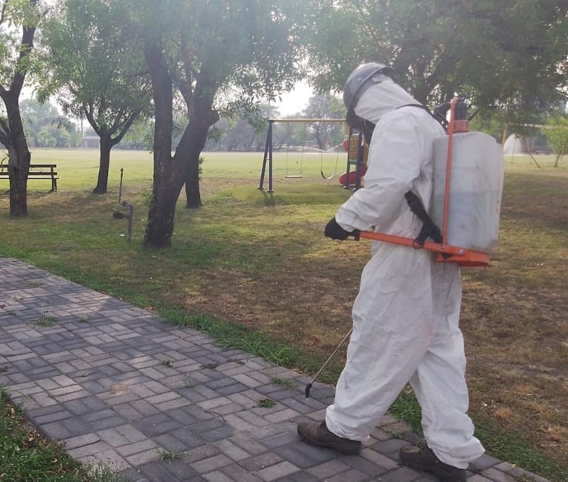 Control y prevención de plagas ambientalmente responsable