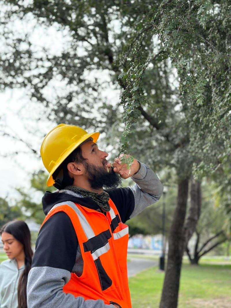 Caracterización ecológica de la vegetación