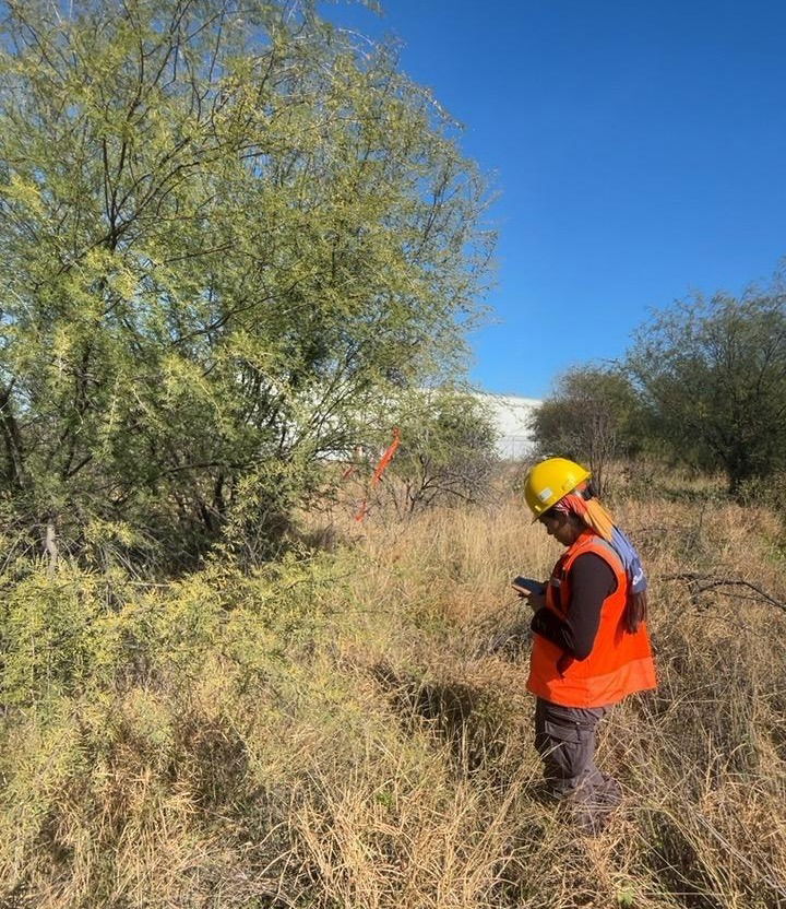 Manifiesto de impacto ambiental