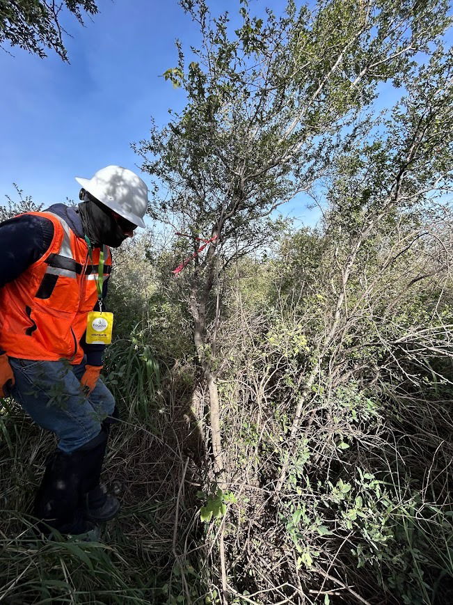 Estudios técnicos justificativos