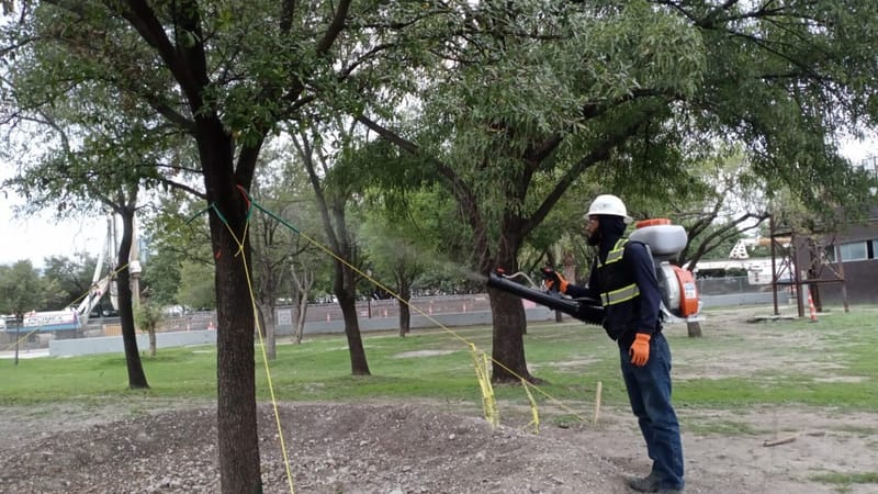 Fertilización para plantas y árboles