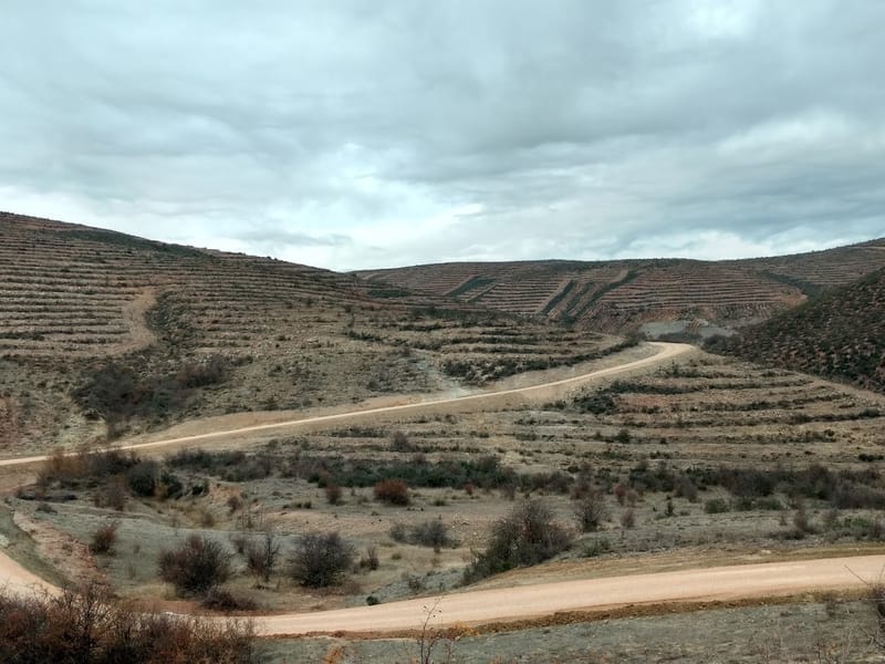 Obras de conservación de suelos
