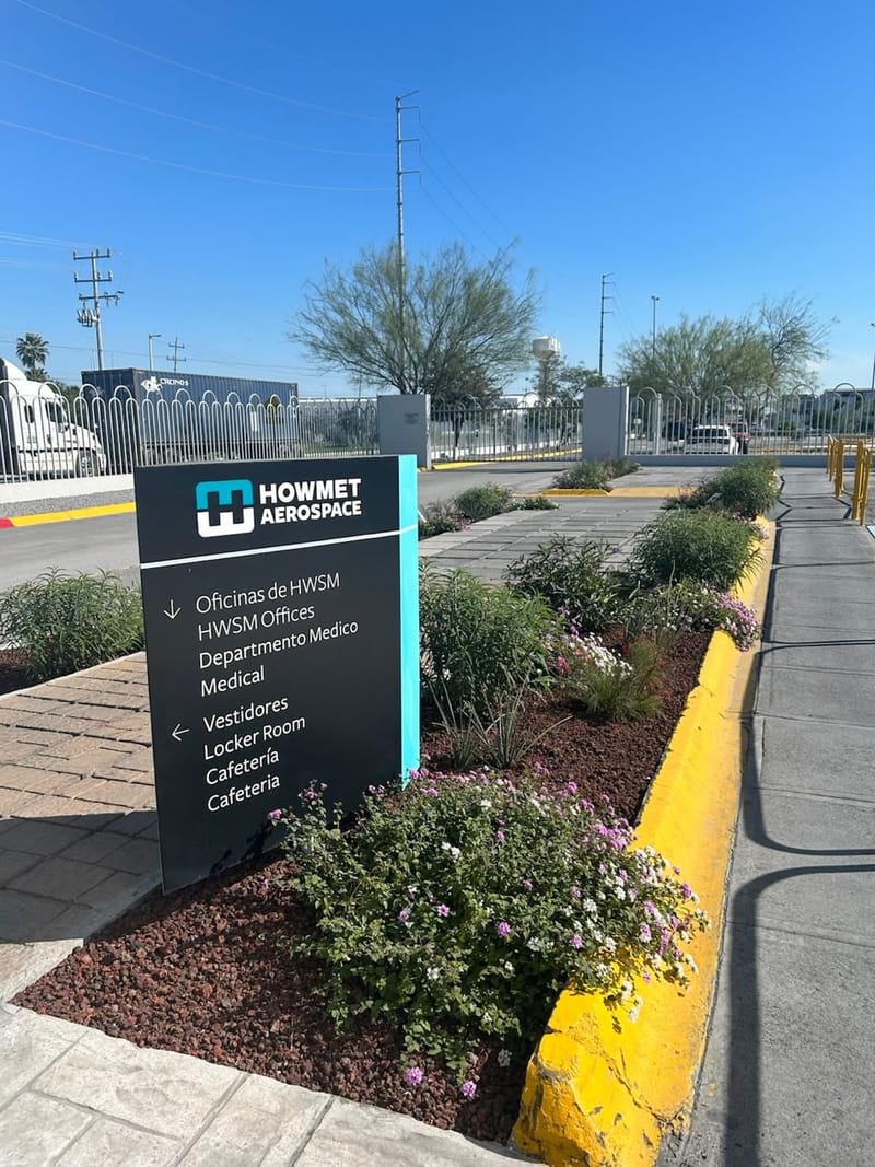 Diseño e instalación de jardines temáticos