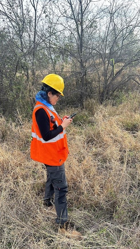 Evaluación de servicios ecosistémicos de I TREE