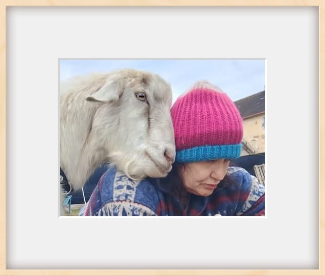 Wahre Liebe