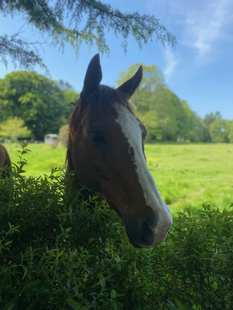 Activités en Plein Air