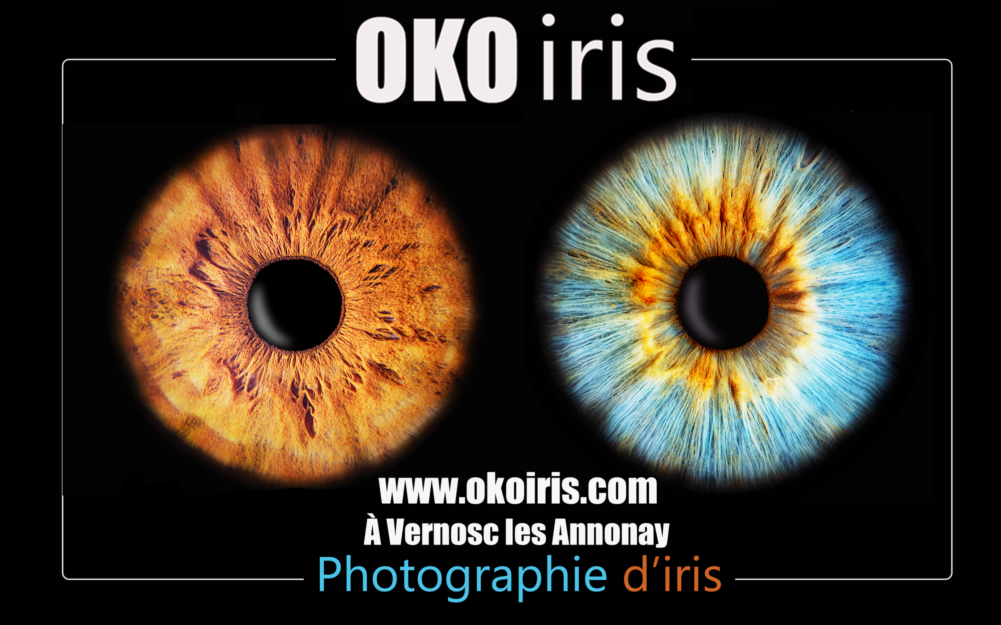 Photographie d’Iris proche de Tain-l’Hermitage et Tournon-sur-Rhône – Studio à Vernosc-lès-Annonay