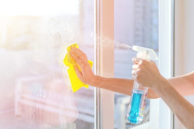 WINDOWS CLEANING