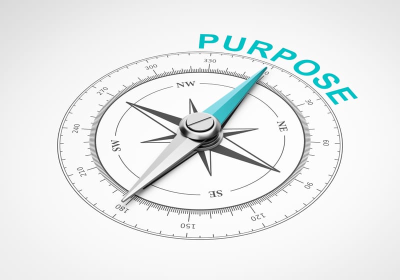 Profit with Purpose – Practical Implementation of the VSO Strategy for Sustainable Business Innovation