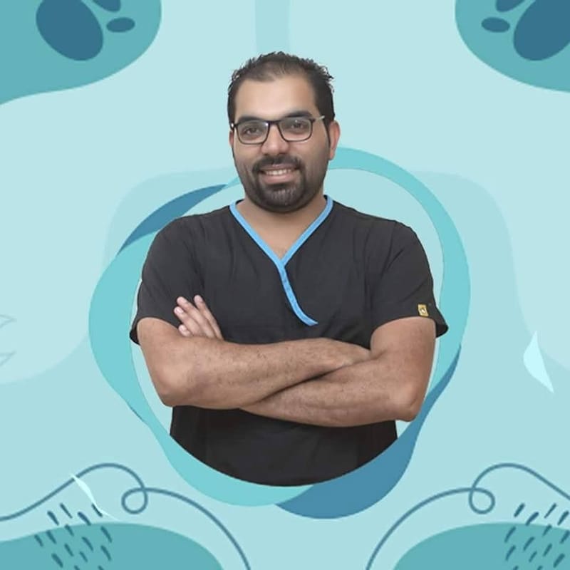 د.محمد على أبوسمره