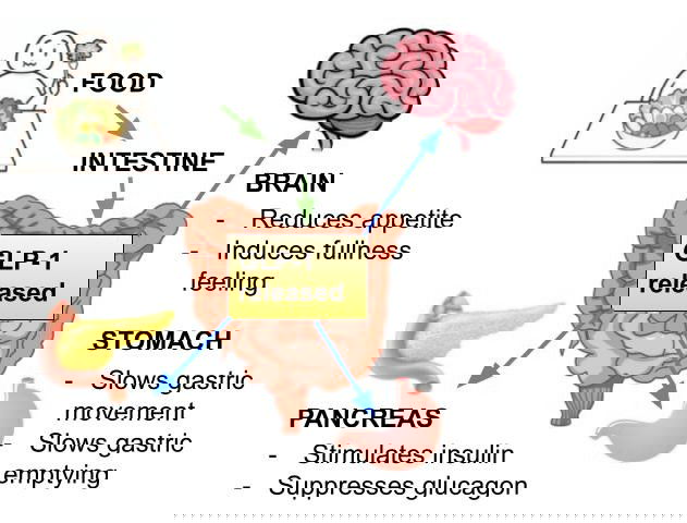 THE GLP-1 EFFECT: WHY BLOOD  SUGAR CONTROL IS THE NEW ANTI-AGING STRATEGY