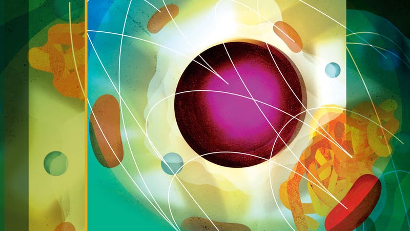 THE SILENT SHIFT: WHY APPETITE AND ENERGY FEEL DIFFERENT AFTER 40