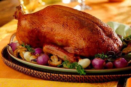 نصف بطة محمرة