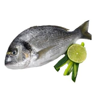 سمك دنيس فريش