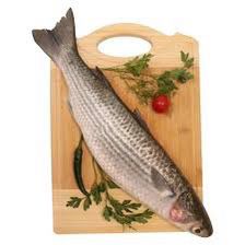 سمك بوري فريش