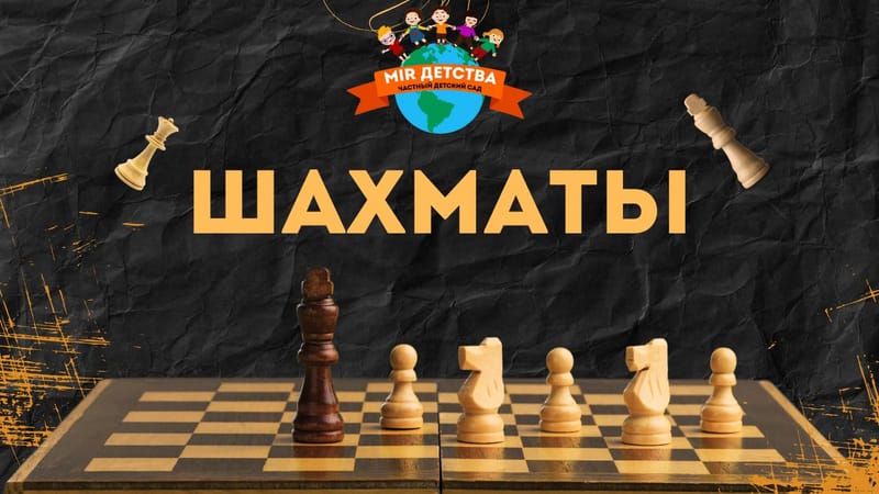 Шахматы
