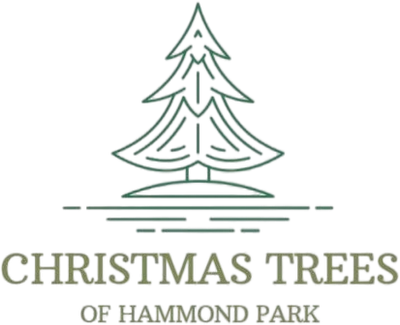 Christmas Trees of Hammond Park