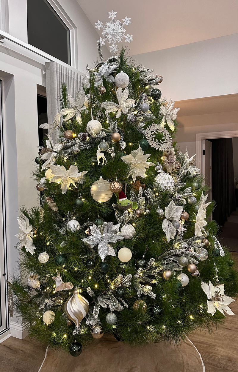 Christmas trees of Hammond Park Farm